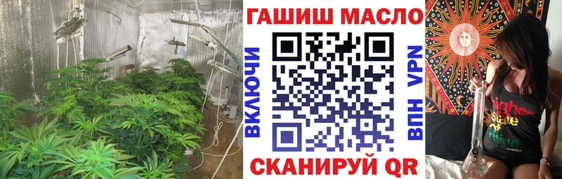 ТГК вейп с тгк  KRAKEN tor  Петухово 