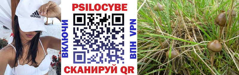 где купить   Петухово  mega онион  Галлюциногенные грибы Cubensis 